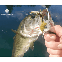- Sobota's Swimming Jimmy - $20.00