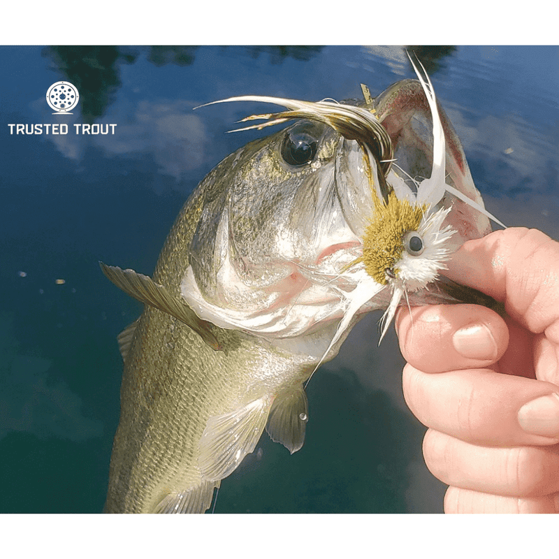 - Sobota's Swimming Jimmy - $20.00