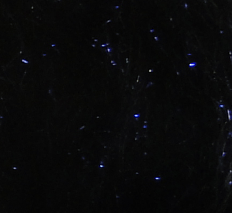 Fishing Baits & Lures - Big Game Dubbing - $2.50