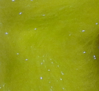 Fishing Baits & Lures - Big Game Dubbing - $2.50