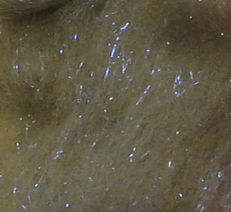 Fishing Baits & Lures - Big Game Dubbing - $2.50