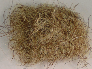 Fishing Baits & Lures - Big Bopper Dubbing - $2.50