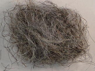 Fishing Baits & Lures - Big Bopper Dubbing - $2.50