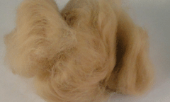 Fishing Baits & Lures - TT Dry Fly Dubbing - $2.50